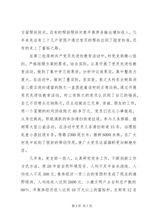 村党支部经验材料.docx