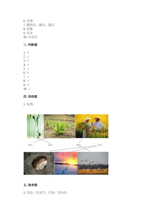教科版科学二年级上册期末测试卷精品（有一套）.docx