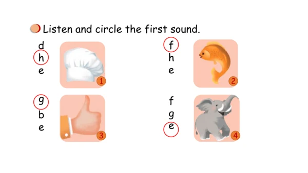 Unit 2   Different families课件（91张PPT)