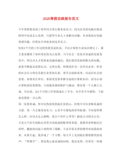 精编寒假实践报告范文.docx