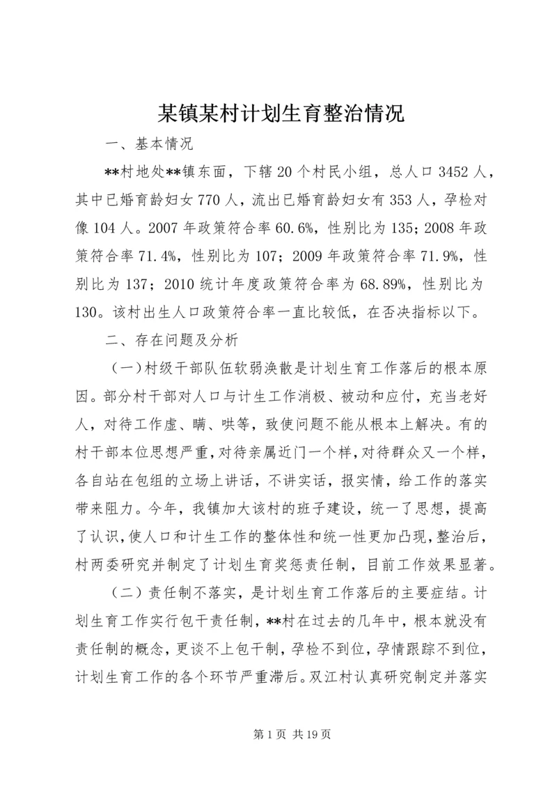 某镇某村计划生育整治情况.docx