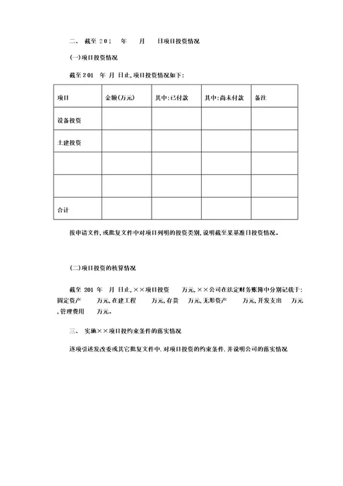 项目投资专项审计报告