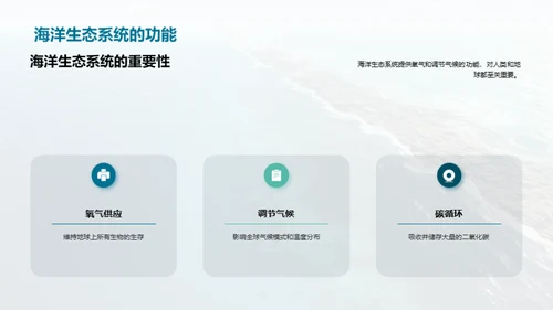 守护蓝海，从我做起