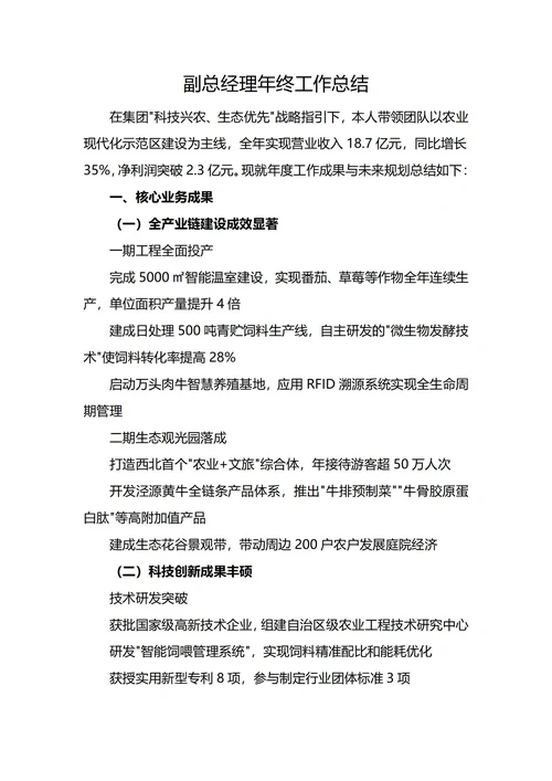 副总经理年终工作总结