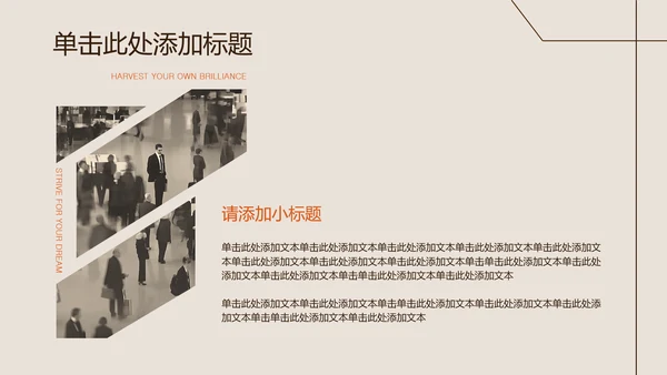 米咖色几何线条简约风职业规划书PPT模板