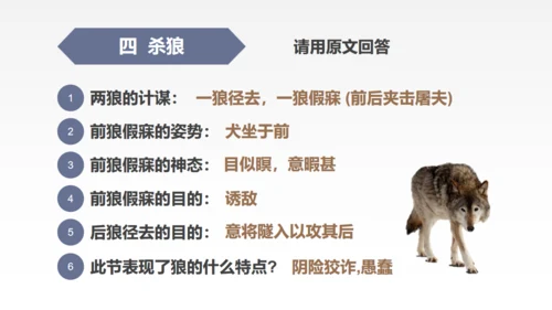 蒲松龄《狼》语文教学通用PPT教学课件