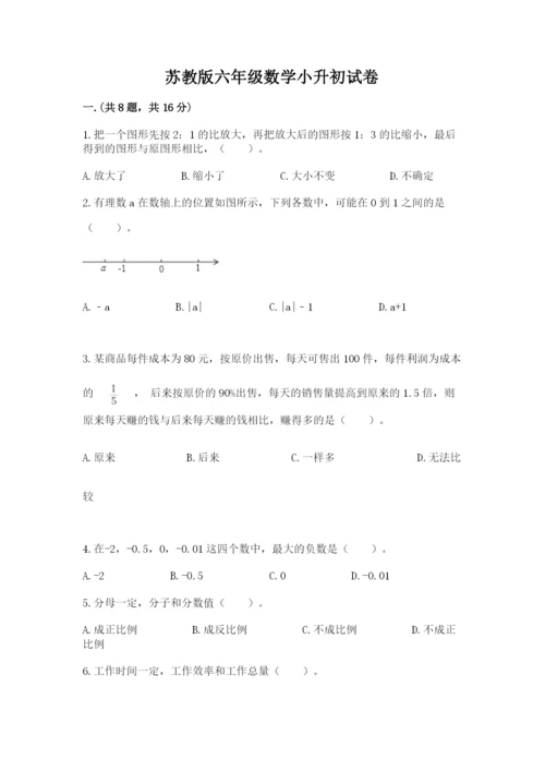 苏教版六年级数学小升初试卷精品【达标题】.docx