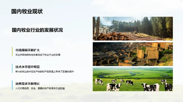 牧业之路