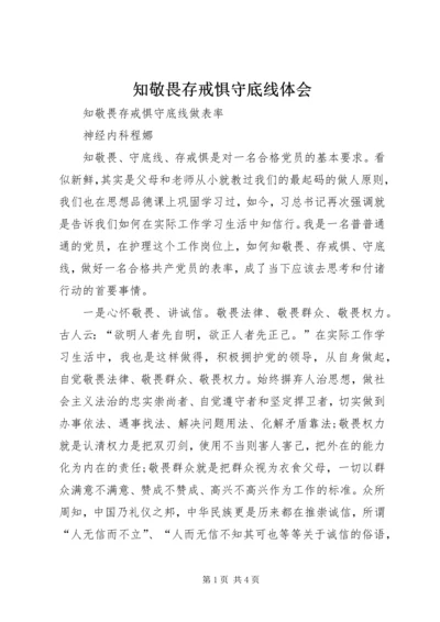 知敬畏存戒惧守底线体会.docx