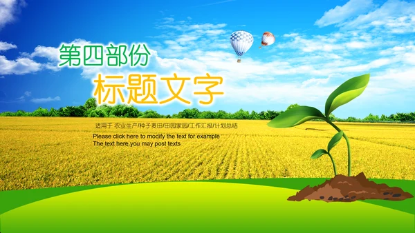 农业新农村种子春耕乡村振兴麦田发芽PPT