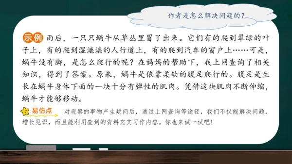 统编版语文三年级上册 第五单元习作： 我们眼中的缤纷世界课件