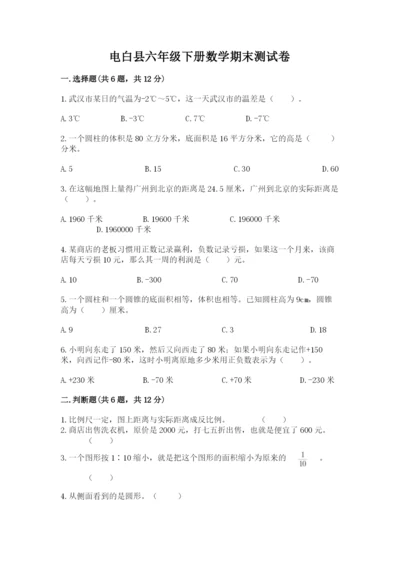电白县六年级下册数学期末测试卷1套.docx