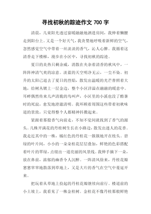 寻找初秋的踪迹作文700字.docx