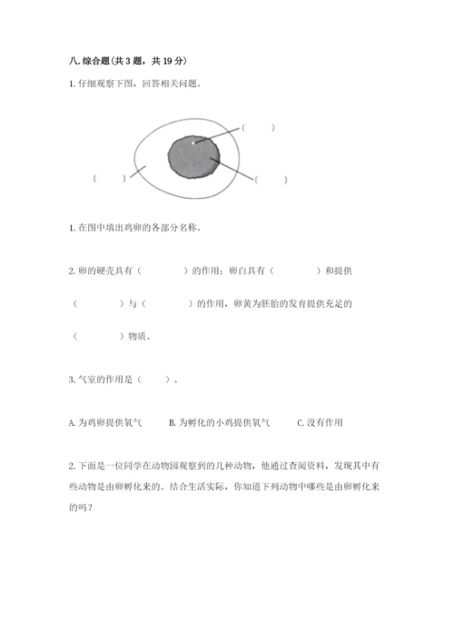 教科版小学科学三年级下册期末测试卷带答案（培优b卷）.docx