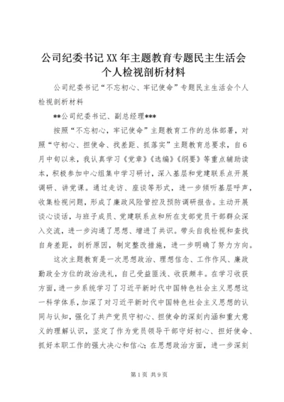 公司纪委书记XX年主题教育专题民主生活会个人检视剖析材料.docx