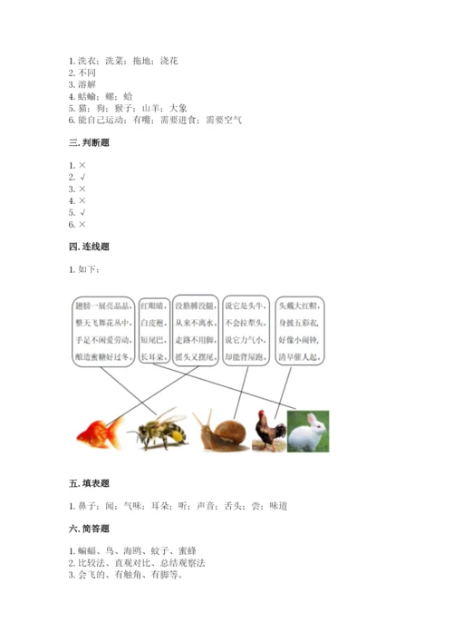 教科版一年级下册科学期末测试卷（夺分金卷）.docx
