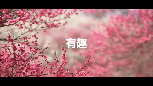 东京旅游酷炫图文相册快闪动画通用PPT模板