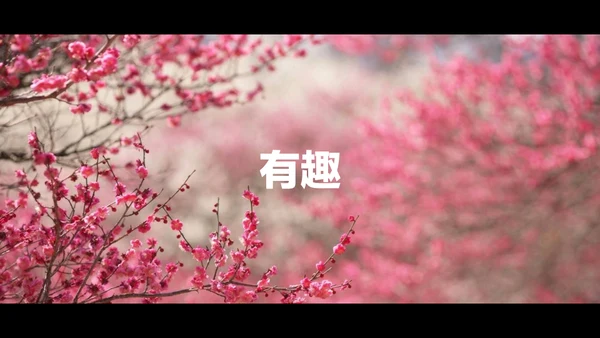 东京旅游酷炫图文相册快闪动画通用PPT模板