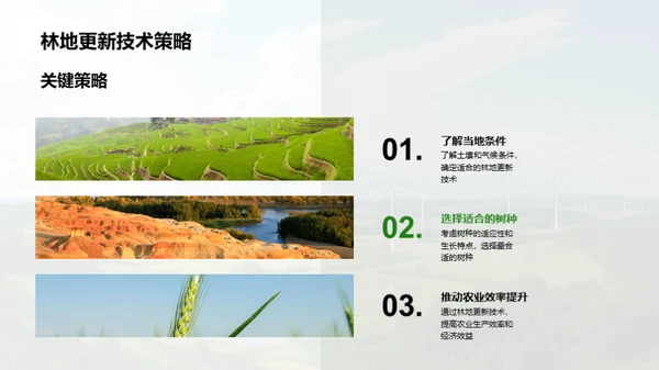 林地更新技术探索