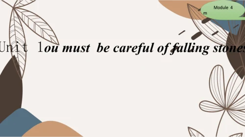 Module4 Rules and suggestion Unit 1 You must be ca