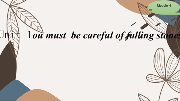Module4 Rules and suggestion Unit 1 You must be ca