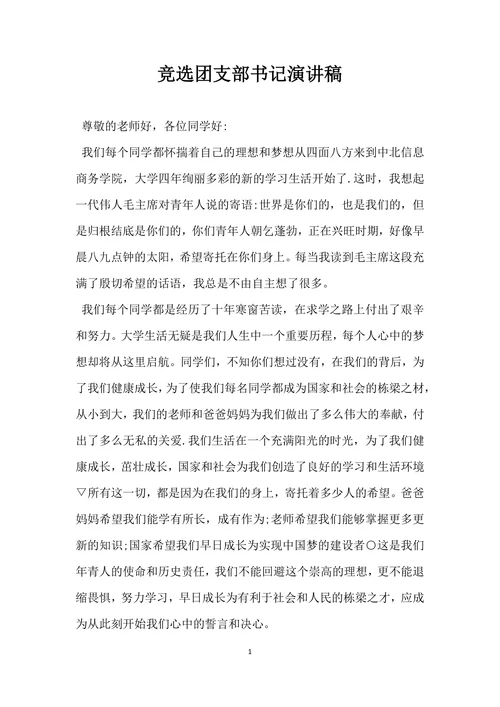 竞选团支部书记演讲稿