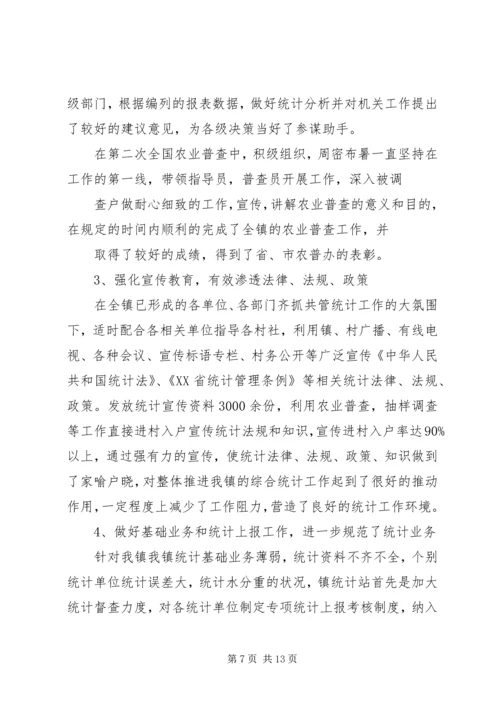 乡镇统计工作个人总结.docx