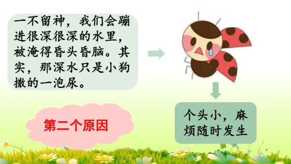 11.我是一只小虫子 课件