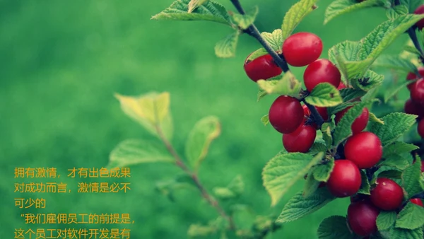 激情去哪了员工在职培训通用PPT课件