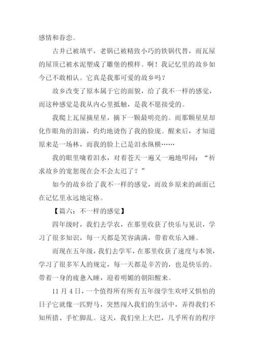 不一样的感觉作文-2.docx