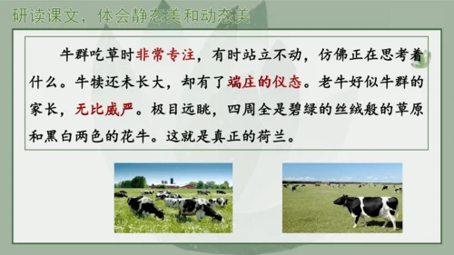 “一核双五”阅读教学法 统编版语文五年级下册第七单元-整体推进课 课件