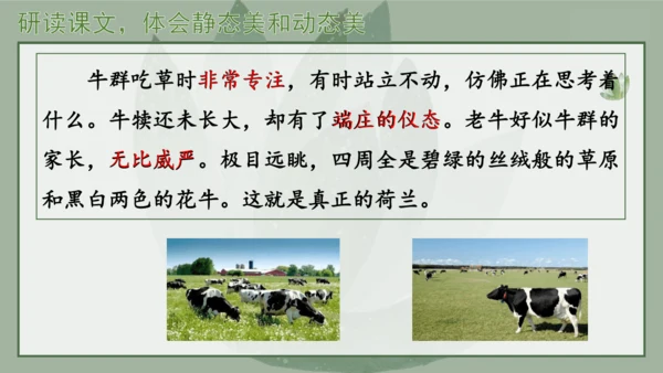 “一核双五”阅读教学法 统编版语文五年级下册第七单元-整体推进课 课件