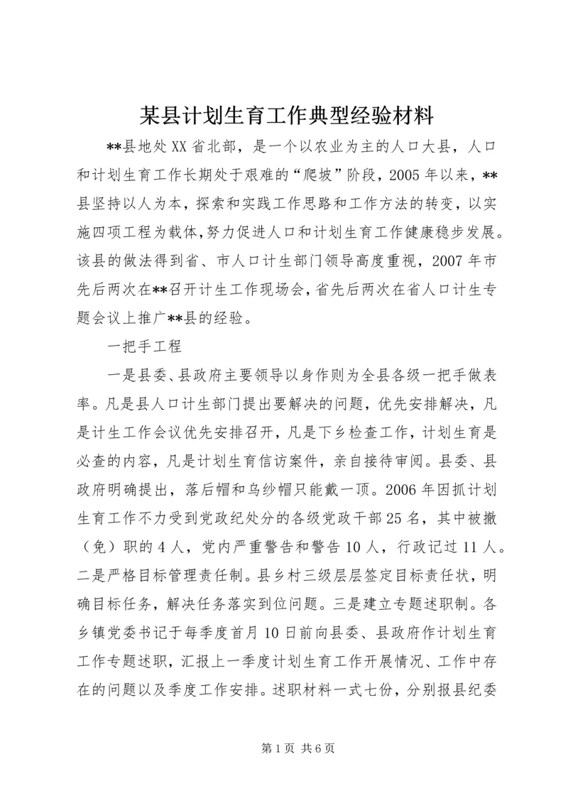 某县计划生育工作典型经验材料 (2).docx