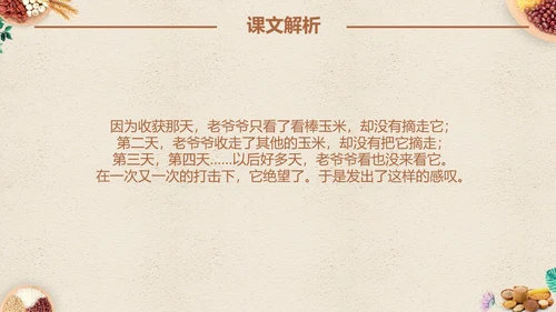 最棒的玉米小学四年级语文课文PPT课件