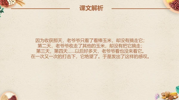 最棒的玉米小学四年级语文课文PPT课件