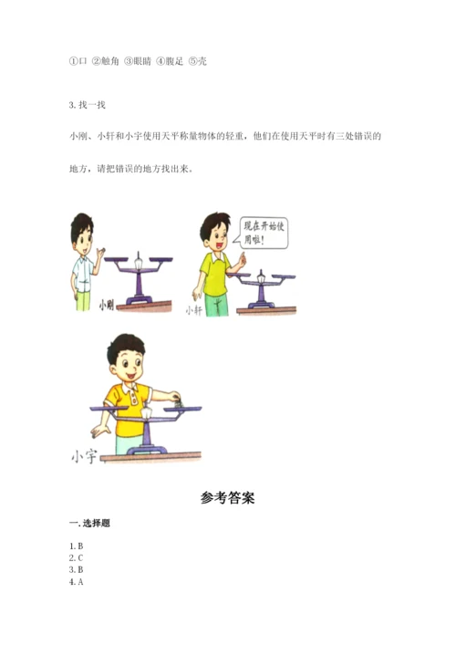 教科版小学科学一年级下册期末测试卷（轻巧夺冠）.docx
