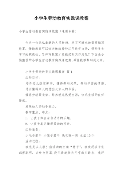 小学生劳动教育实践课教案.docx