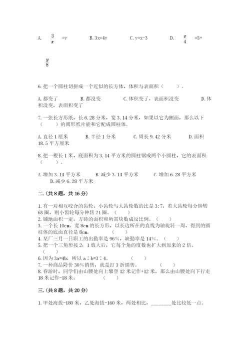 河南省平顶山市六年级下册数学期末考试试卷带答案（轻巧夺冠）.docx