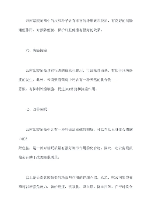 云南紫霞葡萄功效与作用