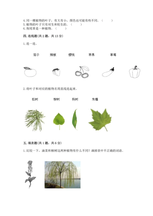 教科版科学一年级上册第一单元《植物》测试卷附答案【完整版】.docx