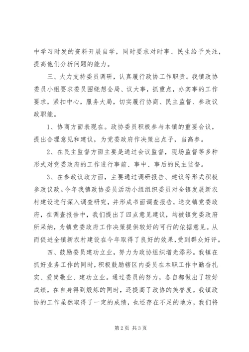 乡镇政协工作总结及工作要点.docx