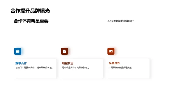 体育营销：全球视角