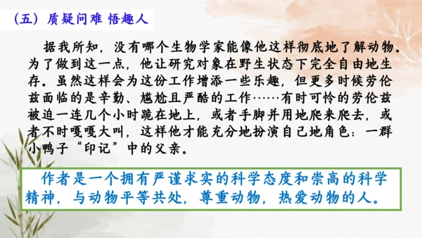 17  动物笑谈 教学课件(共17张PPT)