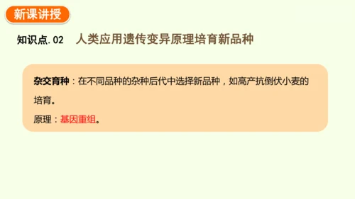 7.2.5生物的变异-八年级生物人教版下学期同步精品课件(共34张PPT)