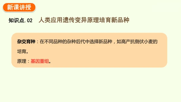 7.2.5生物的变异-八年级生物人教版下学期同步精品课件(共34张PPT)