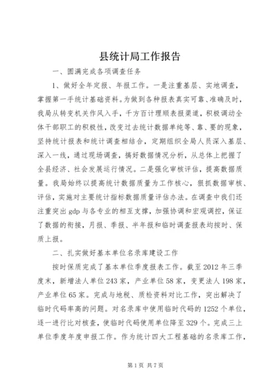 县统计局工作报告.docx