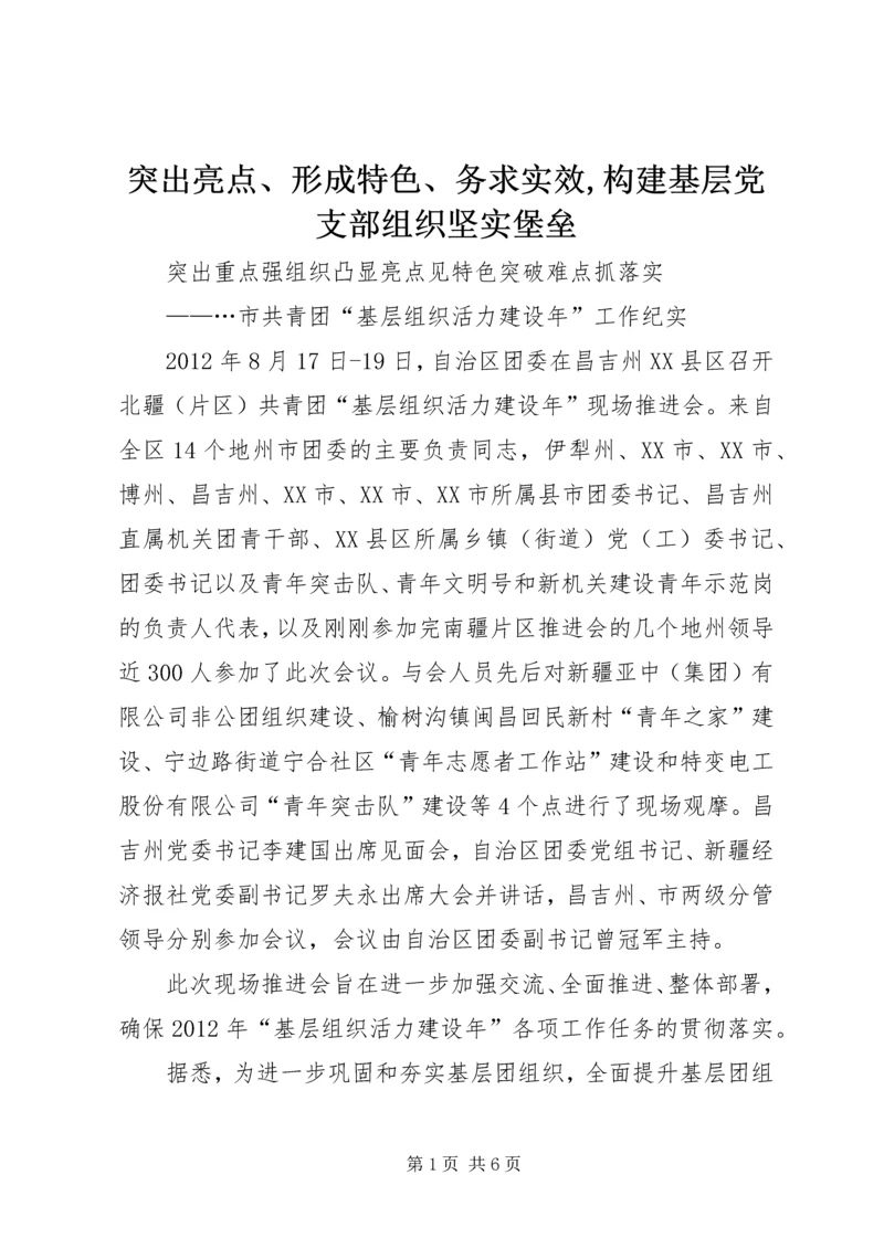 突出亮点、形成特色、务求实效,构建基层党支部组织坚实堡垒 (2).docx