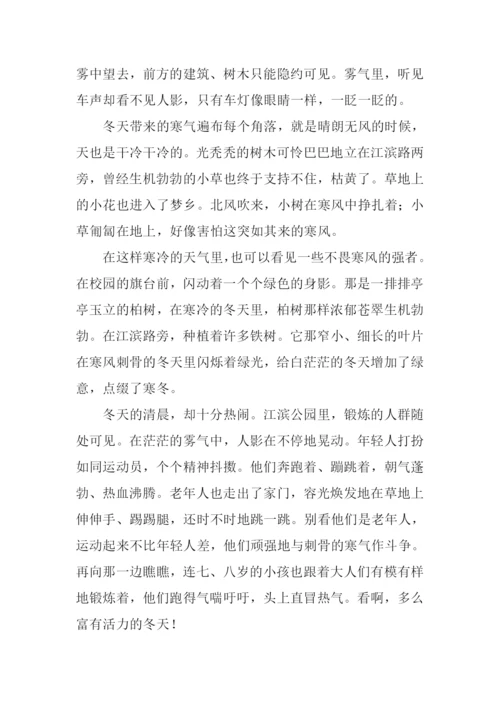 描写冬天的作文500字.docx