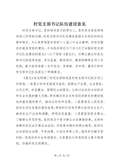 村党支部书记队伍建设意见.docx