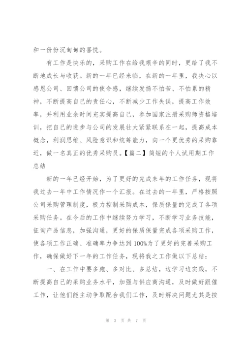 简短的个人试用期工作总结.docx